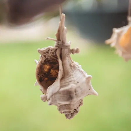 Kalogirou Stone House شقة Limniónas